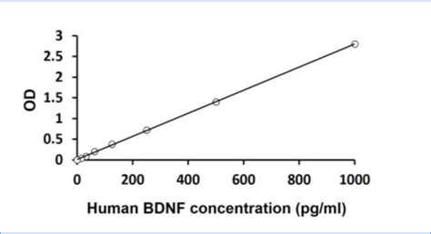 bdnf assay